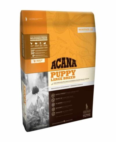 PUPPY LARGE