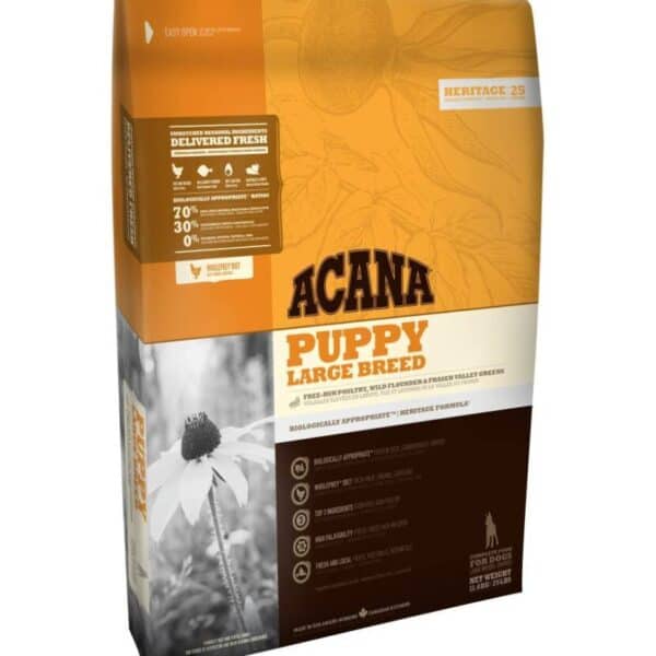 PUPPY LARGE
