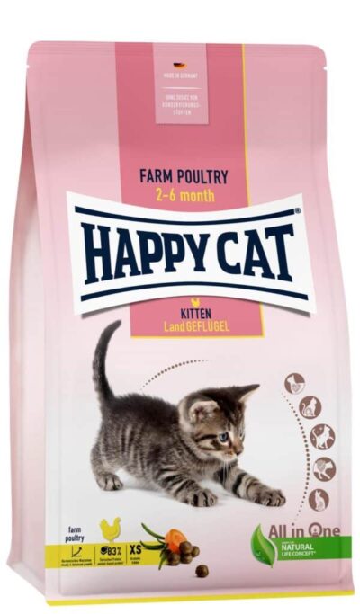 KITTEN POULET