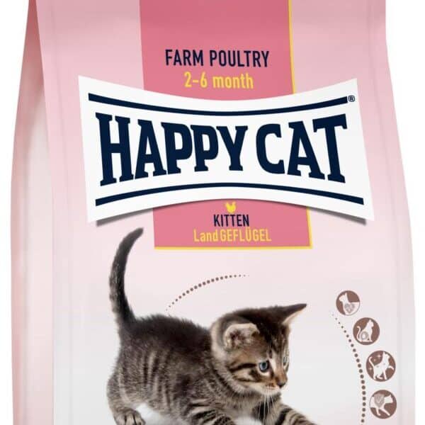 KITTEN POULET