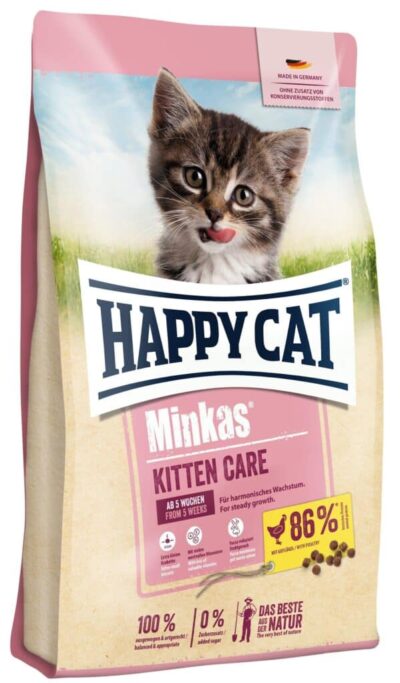 MINKAS KITTEN