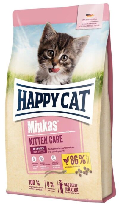MINKAS KITTEN