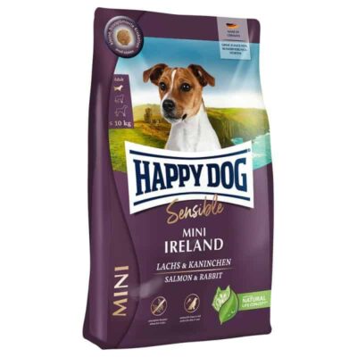 MINI IRLANDE