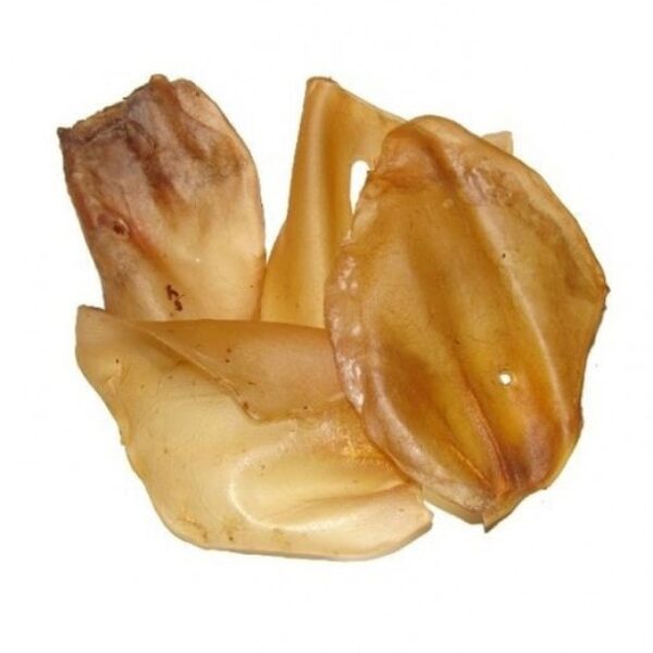 BUBI OREILLE BOEUF PCE