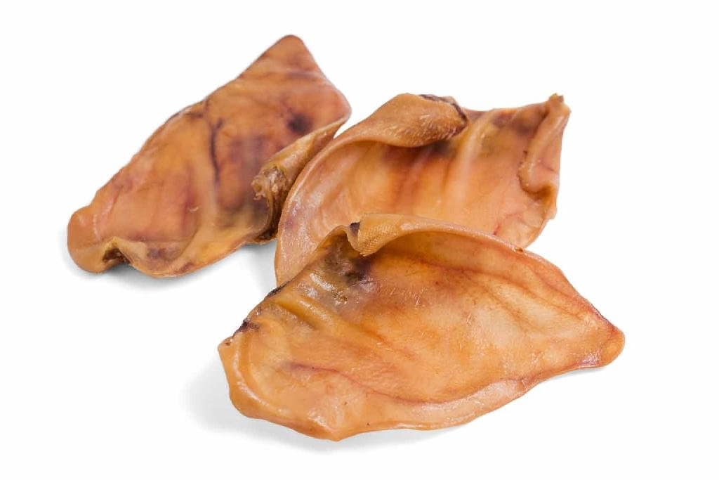 BUBI OREILLE PORC PCE