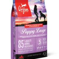 Large-breed (1)
