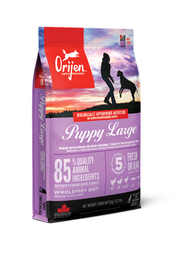 Large-breed (1)